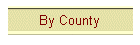 Vendors by County